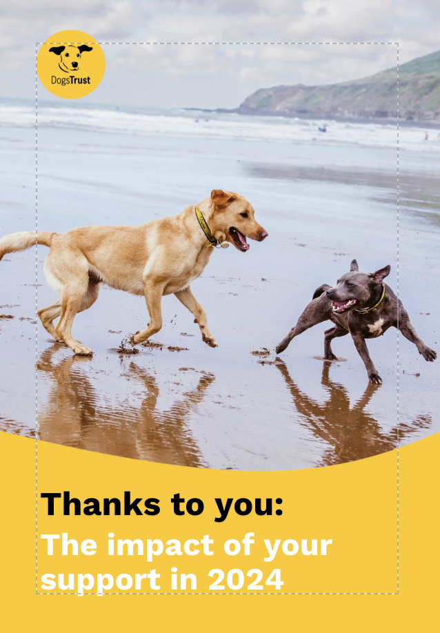 Dogs Trust